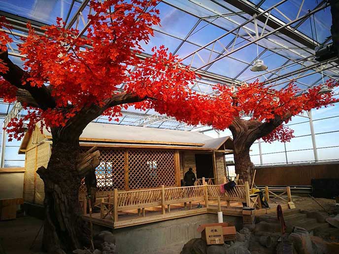 仿真紅楓樹(shù).jpg 仿真紅楓樹(shù)