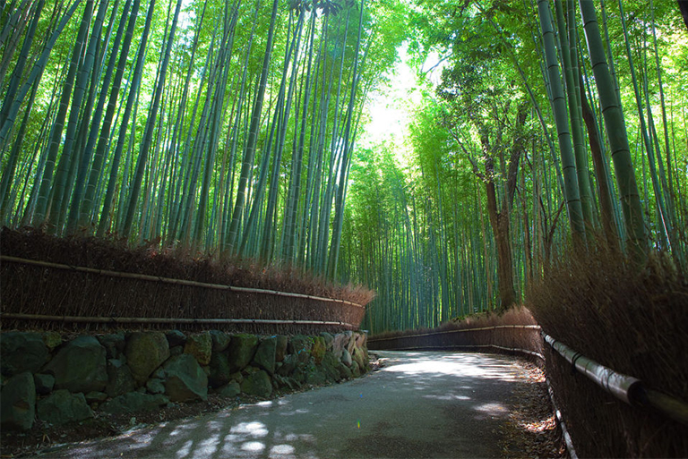 仿真樹廠家.jpg 仿真樹廠家