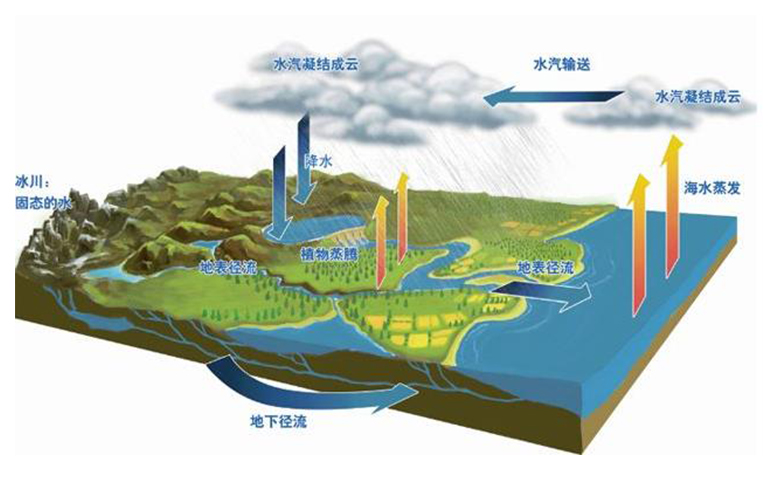 森林蒸騰與水循環(huán).jpg 森林蒸騰與水循環(huán)