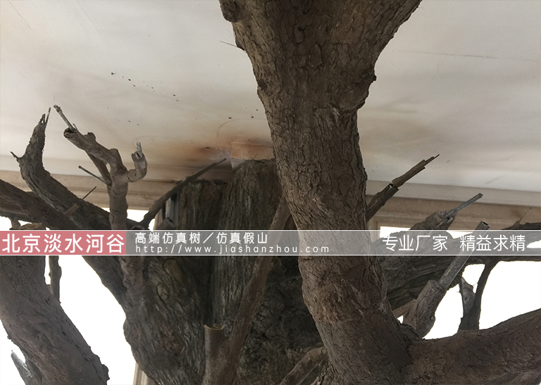 仿真樹